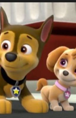 Paw Patrol: Chase and Skye, their story.