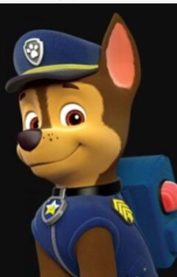 Paw Patrol: Evil Chase 