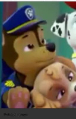 Paw Patrol: Love and War