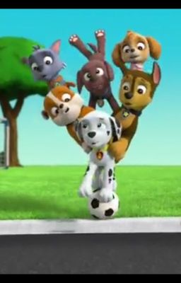 Paw Patrol: Pups and their POVs