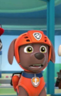 PAW Patrol: Pups Save Zuma