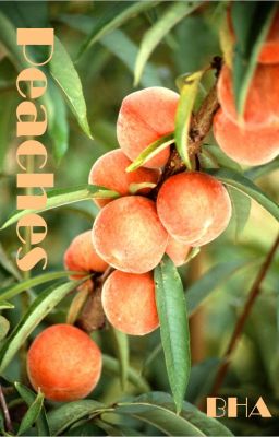 Peaches [oneshot]