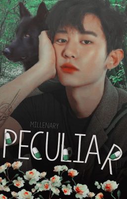 Peculiar • || ChanBaek ||