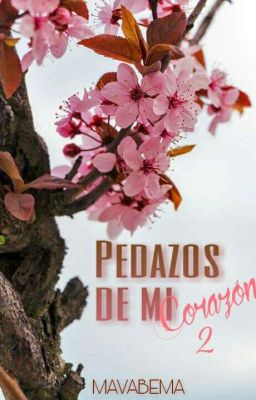 Pedazos de mi corazón 2 