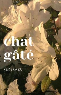 pekejkazu; chat gâté