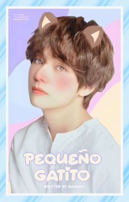 Pequeño gatito || kooktae 