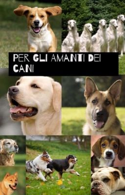 Per gli amanti dei cani