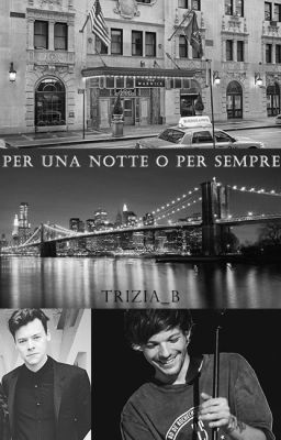 Per una notte o per sempre ( #Wattys2016 )