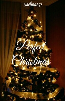 Perfect Christmas // h.s.