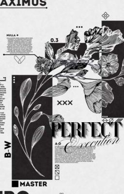 Perfect Execution | On2eus