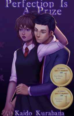 Perfection Is A Prize (A Tim Drake/Robin Fanfiction) [Young Justice]