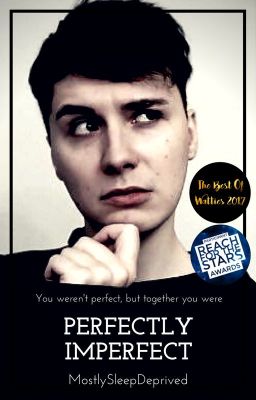 Perfectly Imperfect - Danisnotonfire X Reader