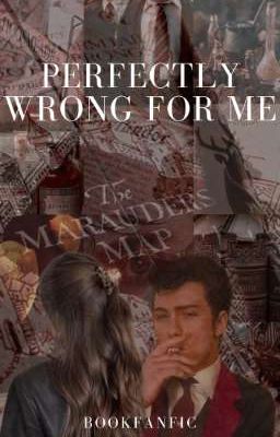 Perfectly Wrong For Me ||James Potter||