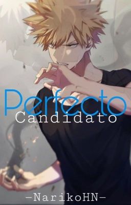 Perfecto candidato © [ Todobaku ]