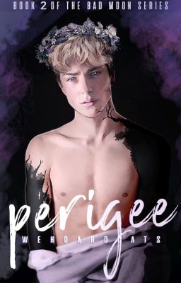 Perigee [bxb] | Bad Moon Book II