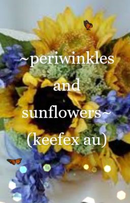 Periwinkle and Sunflowers (Keefex Human AU) (One-Shot)