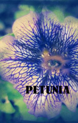 Petunia