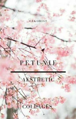 PETUNIE▪aesthetic