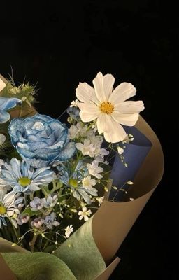 peyria ⋆. 𐙚 ˚ đôi ta