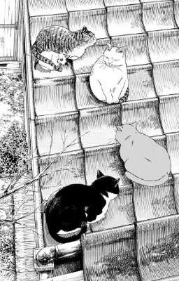 PeyzOn 𐙚 Đồng Đội Mới