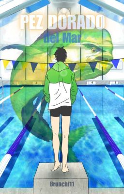 Pez dorado del Mar | Haruka Nanase 