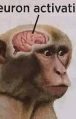 PHAIDEI SHORT STORIES★