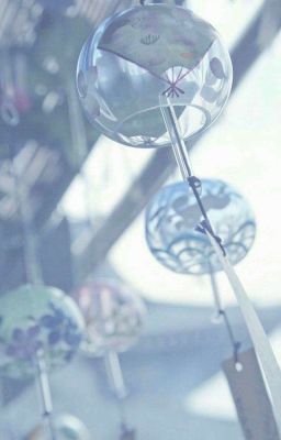 [phainaxa] flutter.