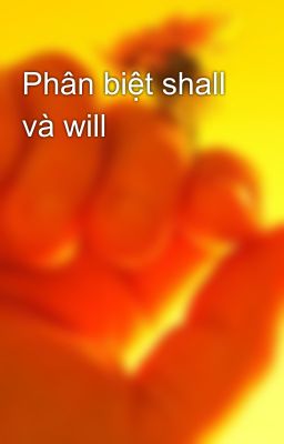 Phân biệt shall và will