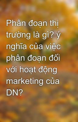 Phân đoạn thị trường là gì? ý nghĩa của việc phân đoạn đối với hoạt động marketing của DN?