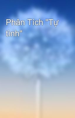 Phân Tích 