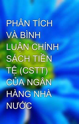 PHÂN TÍCH VÀ BÌNH LUẬN CHÍNH SÁCH TIỀN TỆ (CSTT) CỦA NGÂN HÀNG NHÀ NƯỚC