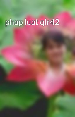 phap luat qlr42