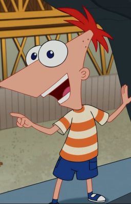 Phineas and ferb get robbed