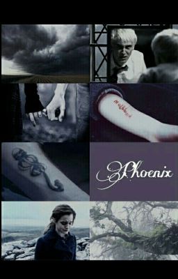 Phoenix • Dramione