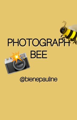 PhotographBee