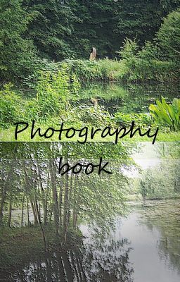 Photography book