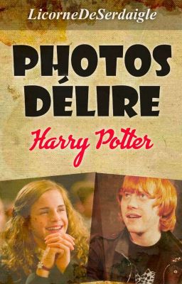 Photos délire Harry Potter