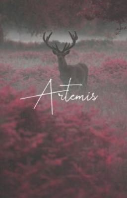 Photos, Questions and Random Stuff About Artemis