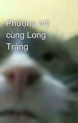 Phượng Mỹ cùng Long Tráng 