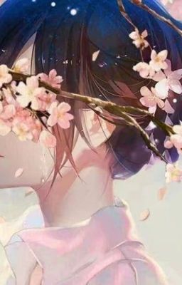 Phút huy hoàng rồi chợt tắt - Sakura