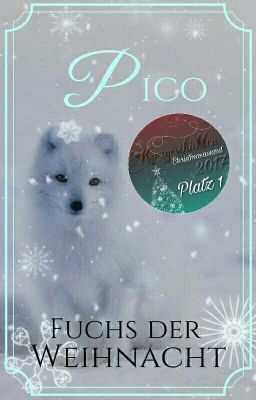 Pico - Fuchs der Weihnacht