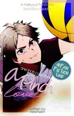 Pinch Love [Semi Eita x Fem!Reader]