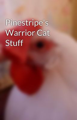 Pinestripe's Warrior Cat Stuff