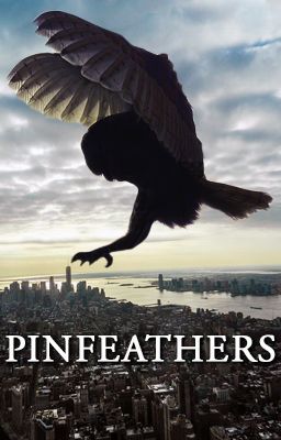 Pinfeathers