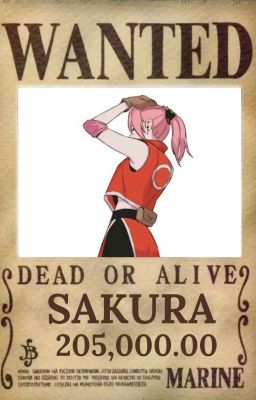 Piratería Sakura En One Piece 