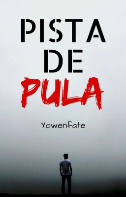 Pista de Pula