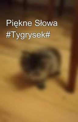 Piękne Słowa #Tygrysek#