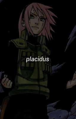 placidus | sakura haruno x fem!reader