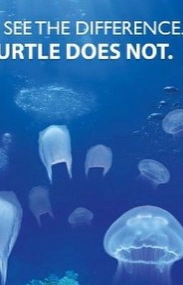 PLASTIC POLLUTION