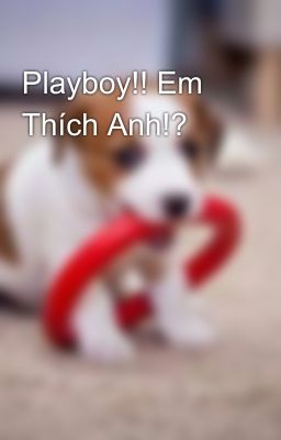 Playboy!! Em Thích Anh!? 